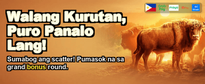 Download ssg777 App Today banner